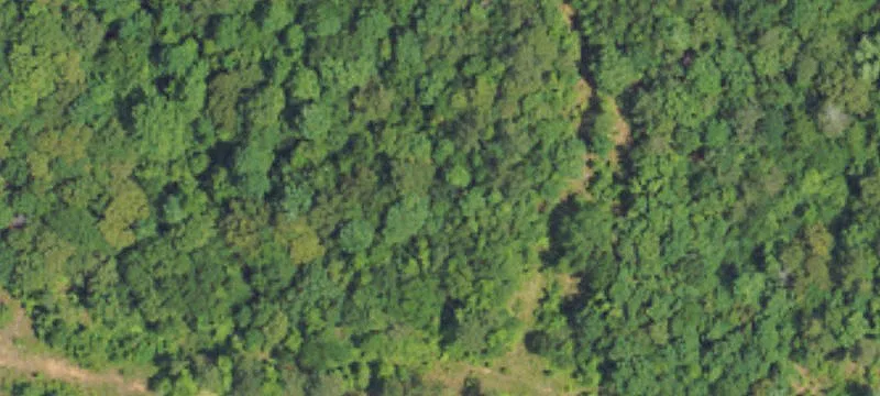 Undeveloped Acreage in Greenville, AL