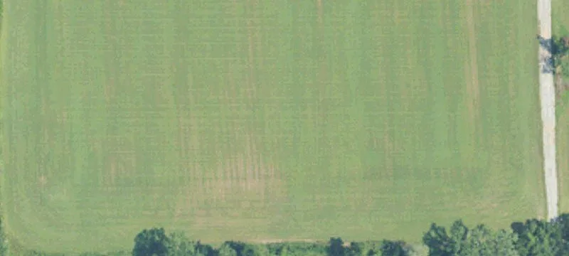 Cleared Land Ready for Development