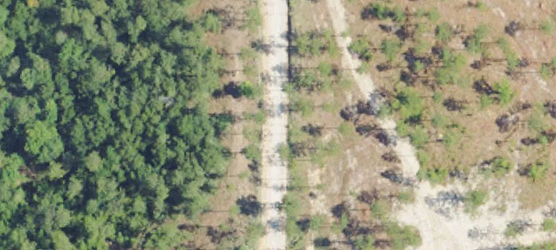 Acreage with Pond and Hardwood