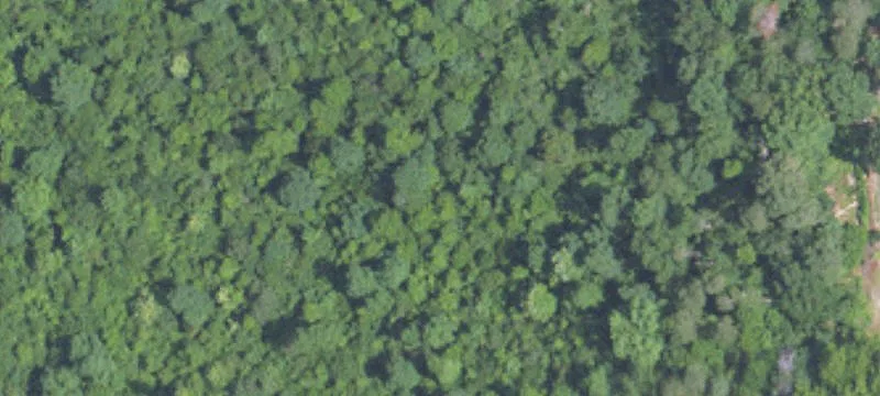 Residential Land for Dream Home