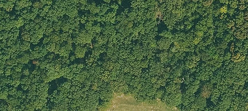 40 Acres Wooded Land