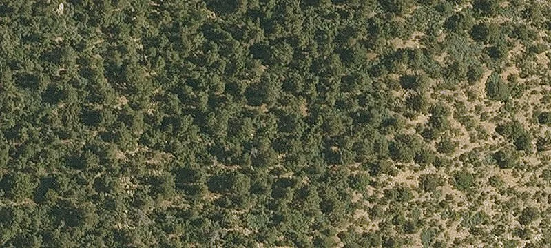 Acre Lot with Mountain Views