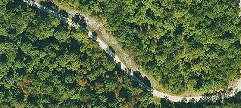 Secluded Wooded Acreage with Utilities