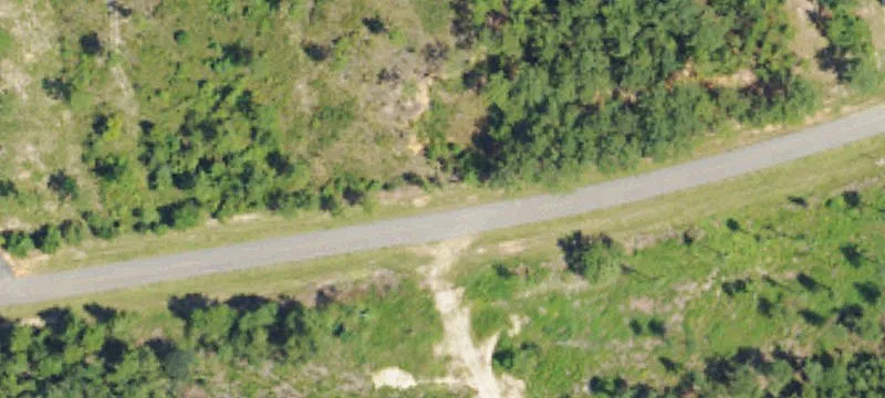 20 Acres of Undeveloped Land
