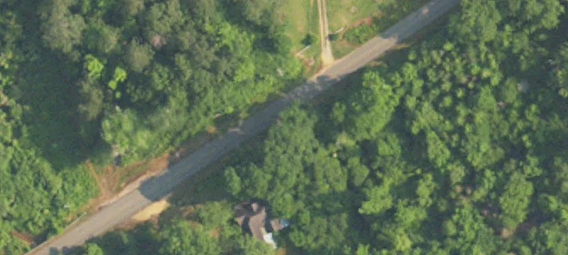 47 Acres Pasture Land Gordo