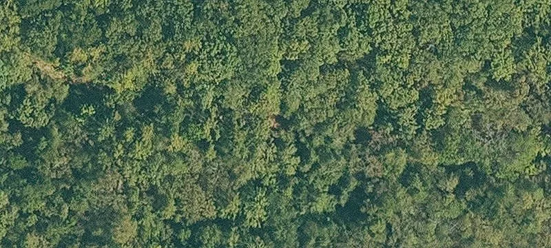 80+ Acres Near White River