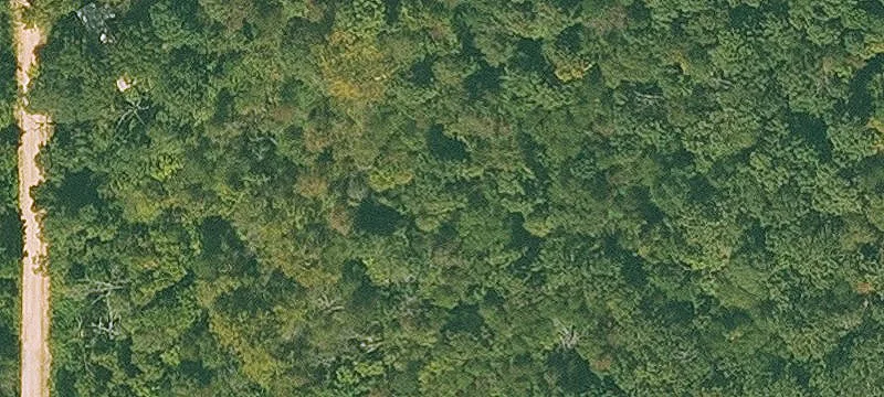 Nearly 20 Acres Investment Opportunity