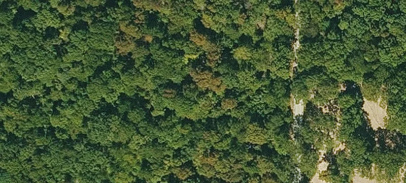 Wooded Acreage Near Bull Shoals