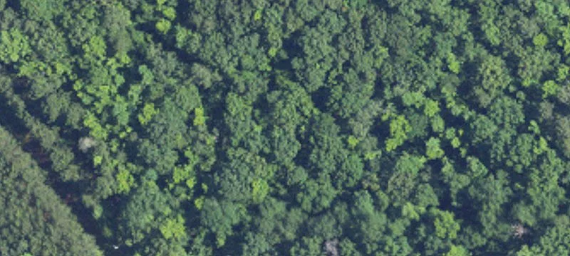 Unrestricted Wooded Property For Sale