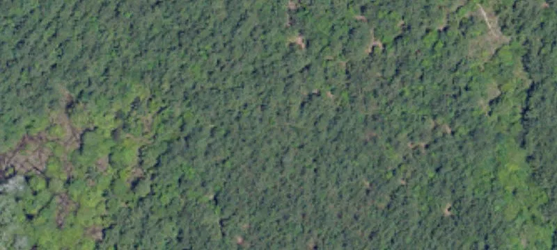Residential Land Ready For Family