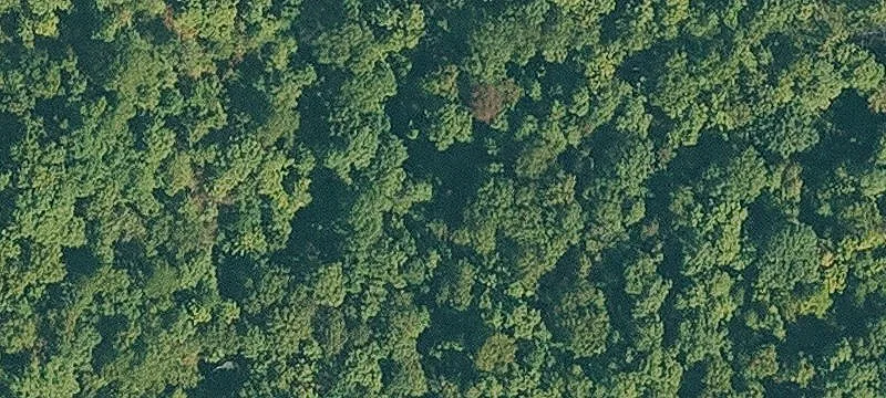 Residential Land in Rogers, Arkansas