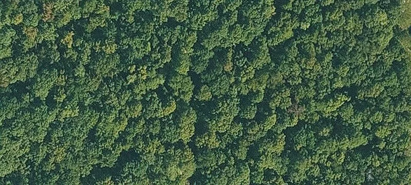 Ozark Mountain Land Parcel