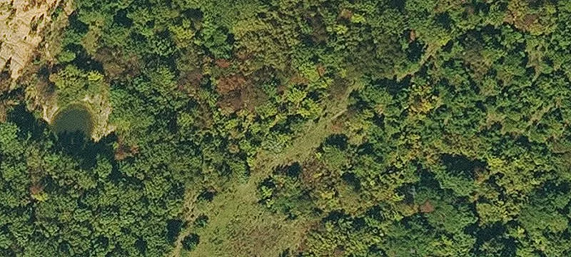 Secluded Land Surrounded by Forest