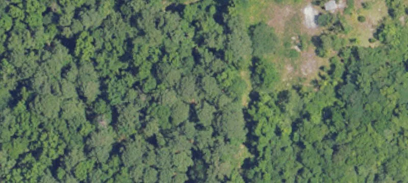 41 Acres Land For Sale
