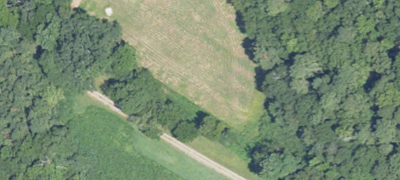 72.5 Acres in Winterboro