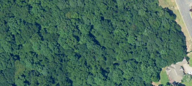 Residential Land in Tuscaloosa