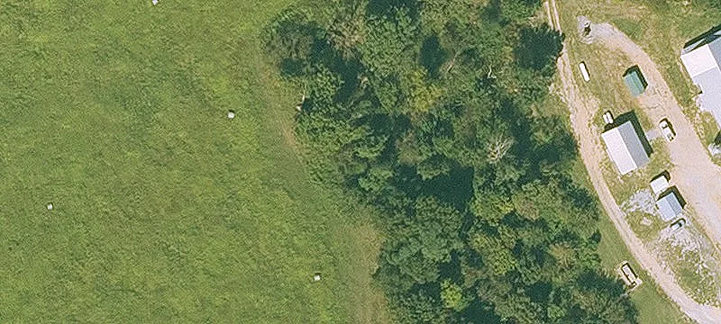 365 Acres Pastureland and Timber