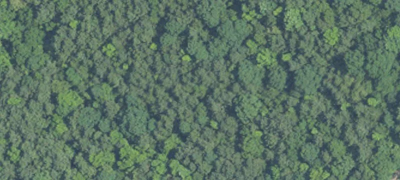 Land Suitable for Development