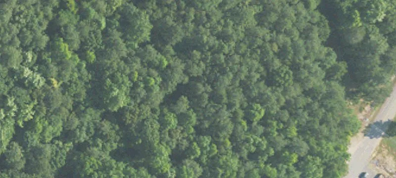 Land Near Trussville Amenities