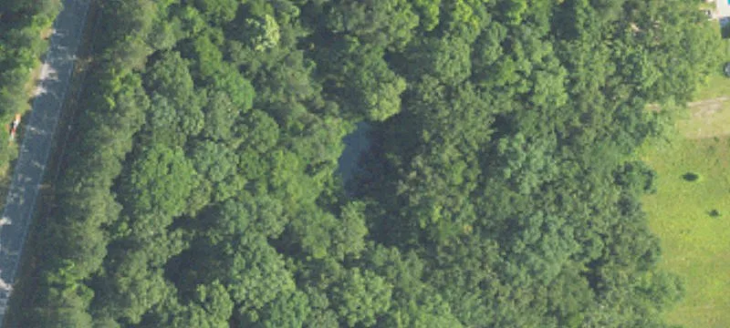 10 Acres in Shelby County