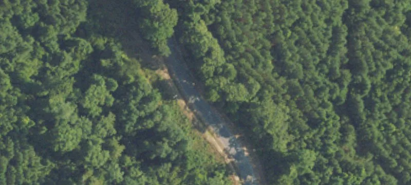 16.7 Acres in Alabama Blackbelt