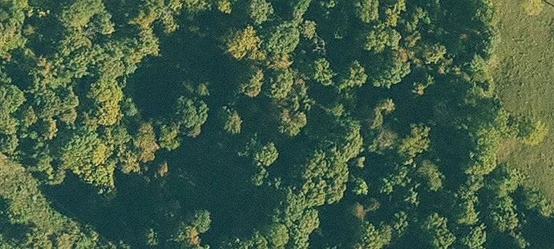 Secluded Land Near Beaver Lake