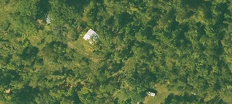56.83 Acres Ideal for Hunting