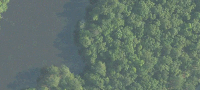 48 Acres of Cleared Land