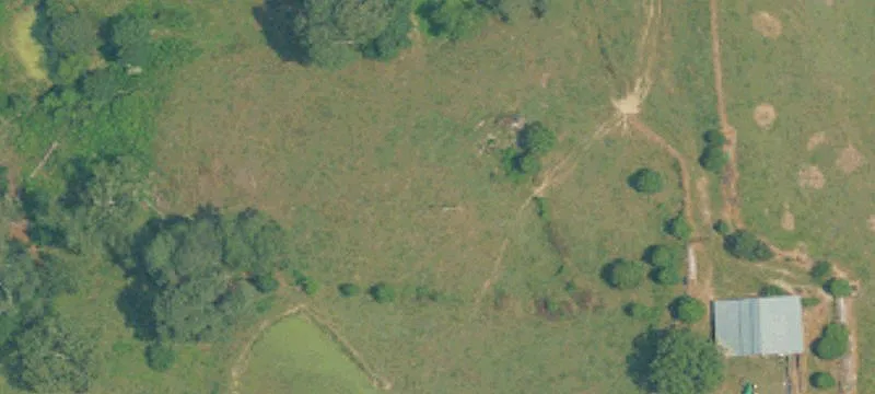 53+ Acres Waterfront Pasture Land