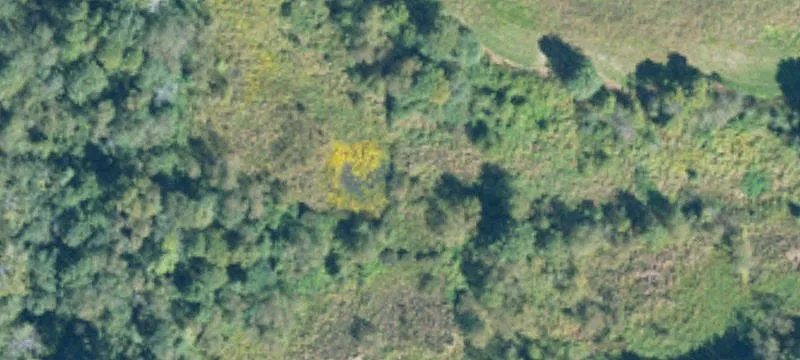 Land For Sale Attalla, AL