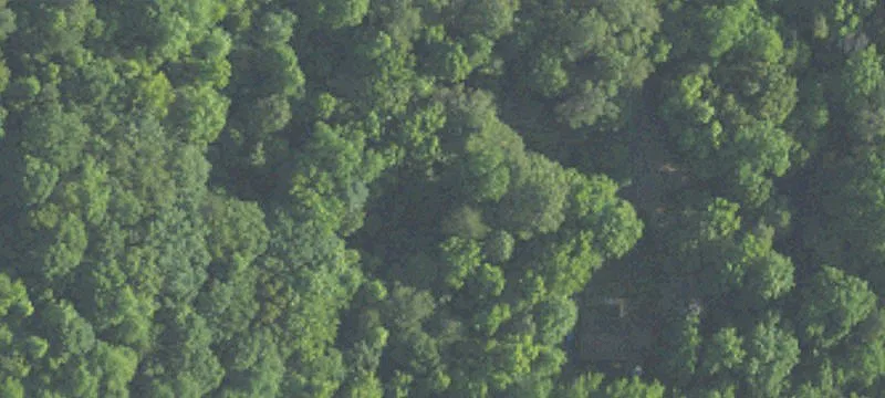 Land in Quiet Cul-de-Sac