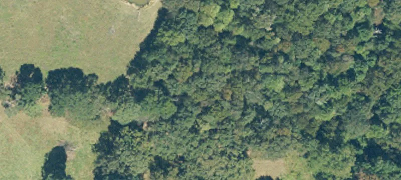 6.3 Acres with Private Creek