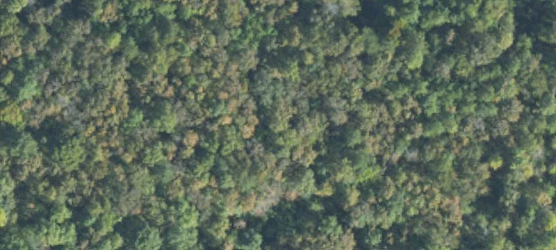 Residential Land in Quiet Neighborhood