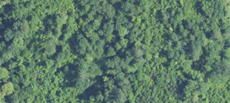 Heavily Wooded Acres Near River