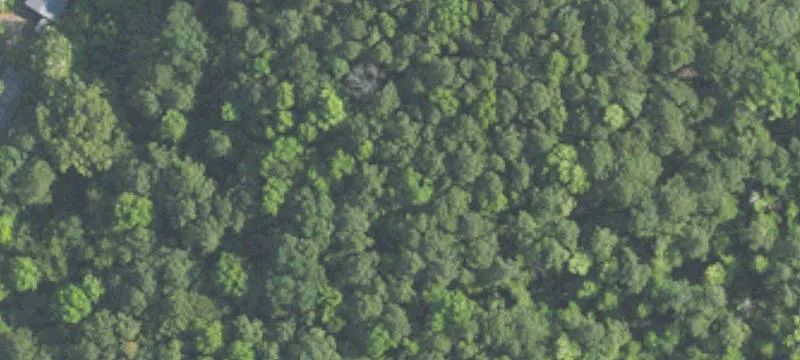 Versatile 14-Acre Parcel in Clay