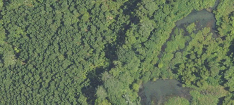 Wooded Land Near Hunting Preserves