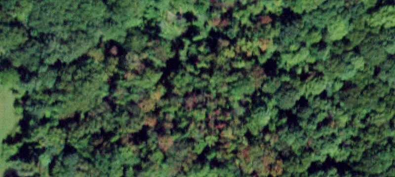 Approved Subdivision in Historic Warwick