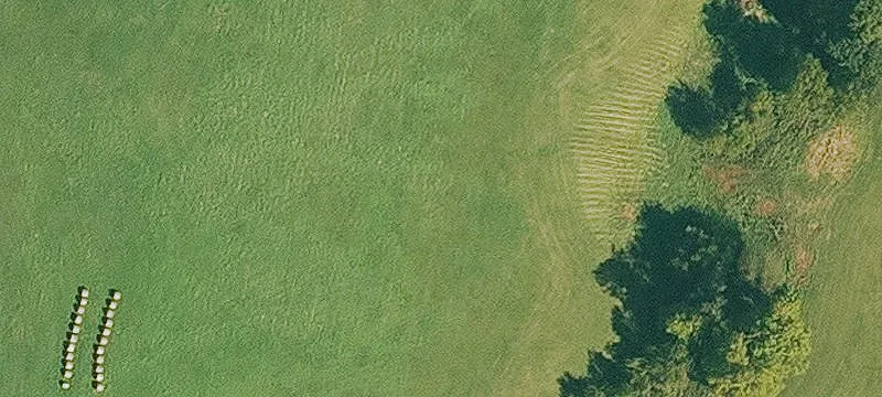 19.91 Acres of Farmland