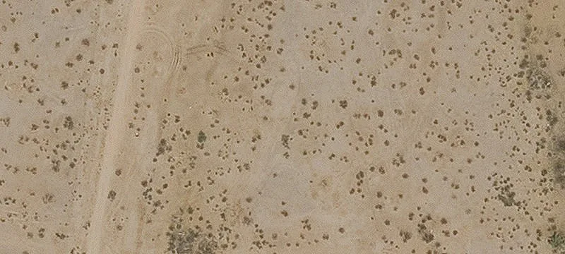 Residential Land in Growing Buckeye