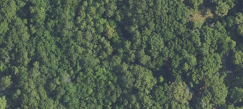 Residential Land with Creek