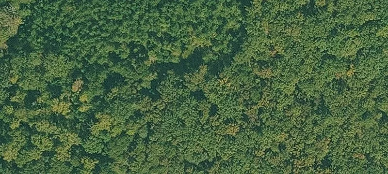 380 Acres Timber & Recreation