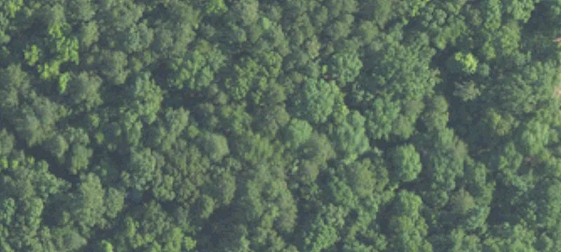 10+ Acres Land Parcel