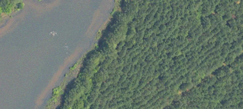 Residential Land with Mature Trees