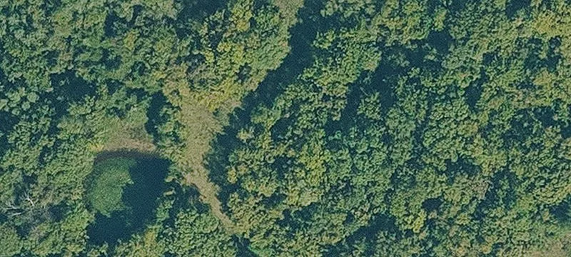61.33 Acres Near Beaver Lake