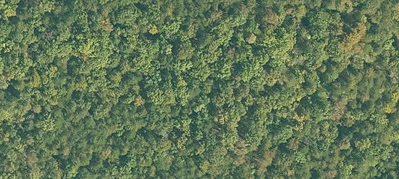 Residential Land Near Table Rock