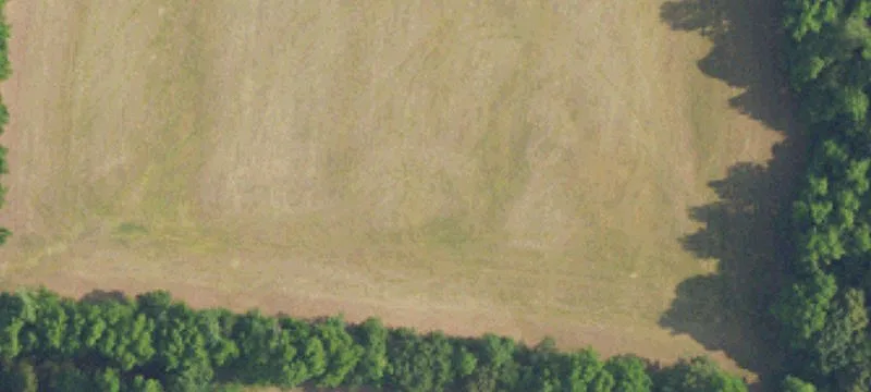 Unrestricted Land in Limestone County
