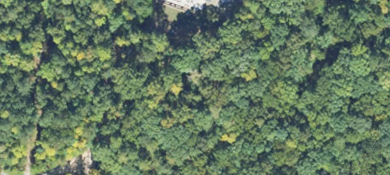 14 Acres of Wooded Land