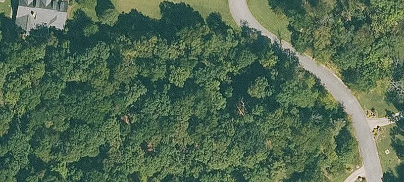 Residential Lot in Bridlewood Estates