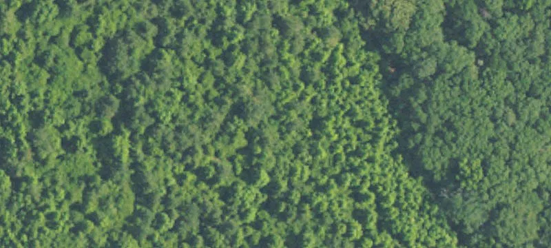 86 Acres Wildlife Paradise