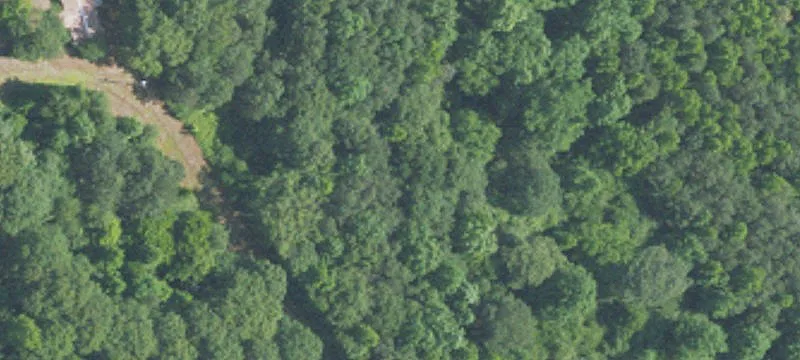 Unrestricted 12-Acre Cullman County Land